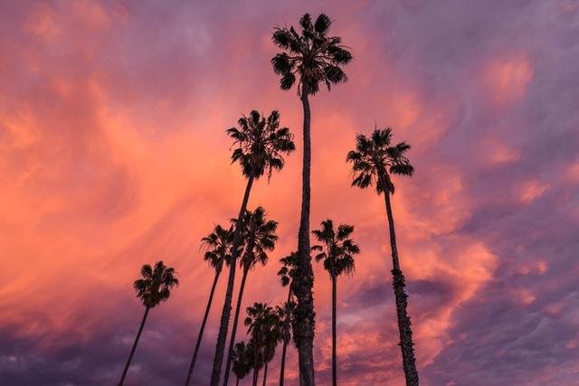 light-nature-sky-love.jpg