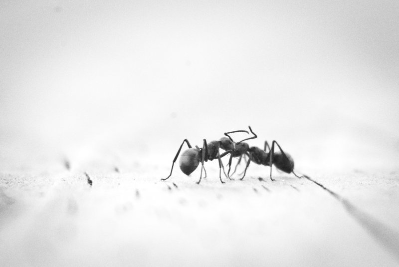thomas-kinto-QEkPeFtkON0-unsplash (1).jpg